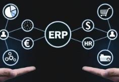 成功贵州ERP项目管理的关键控制点